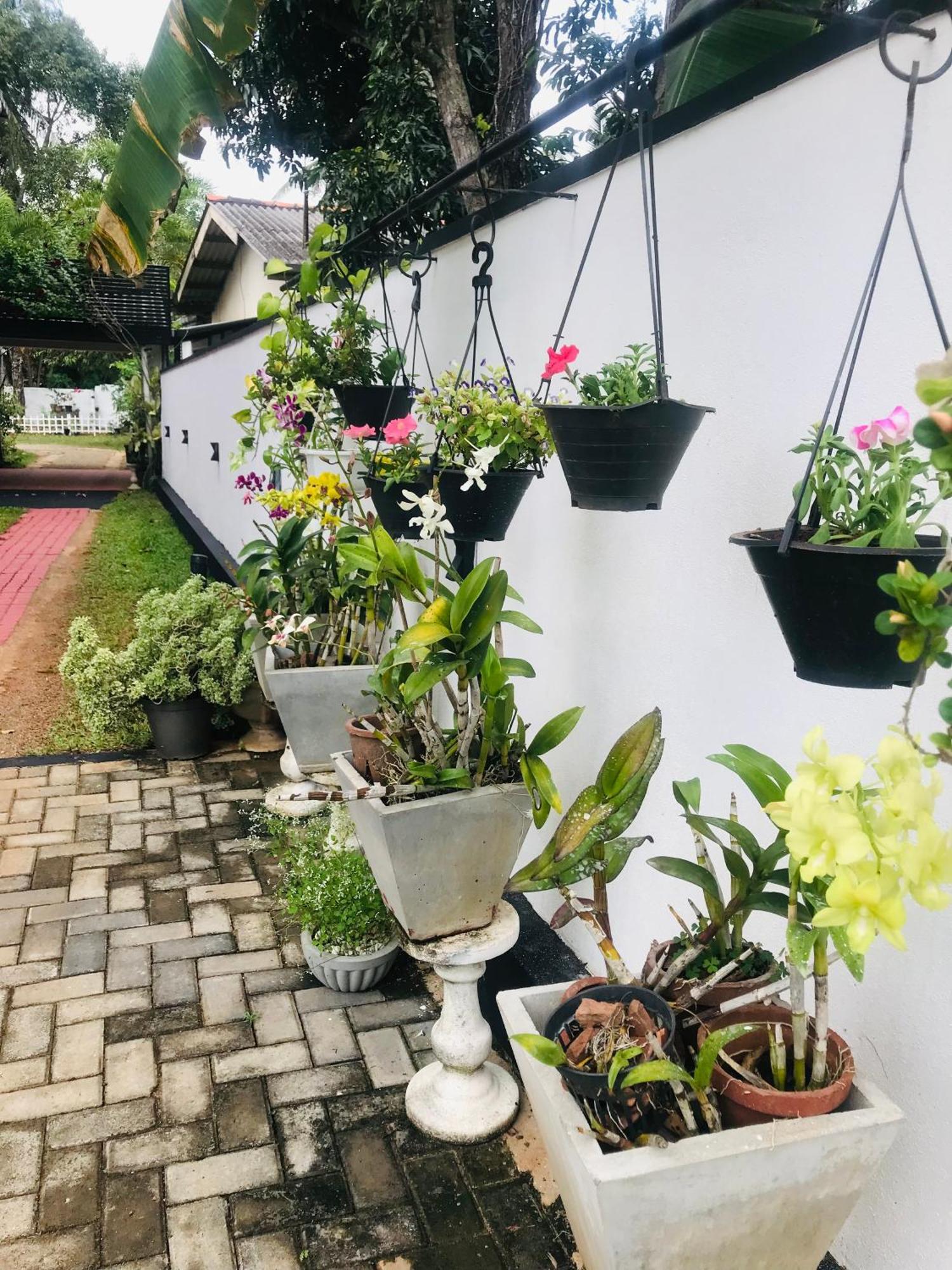 Pinidiya Resort Anuradhapura Buitenkant foto