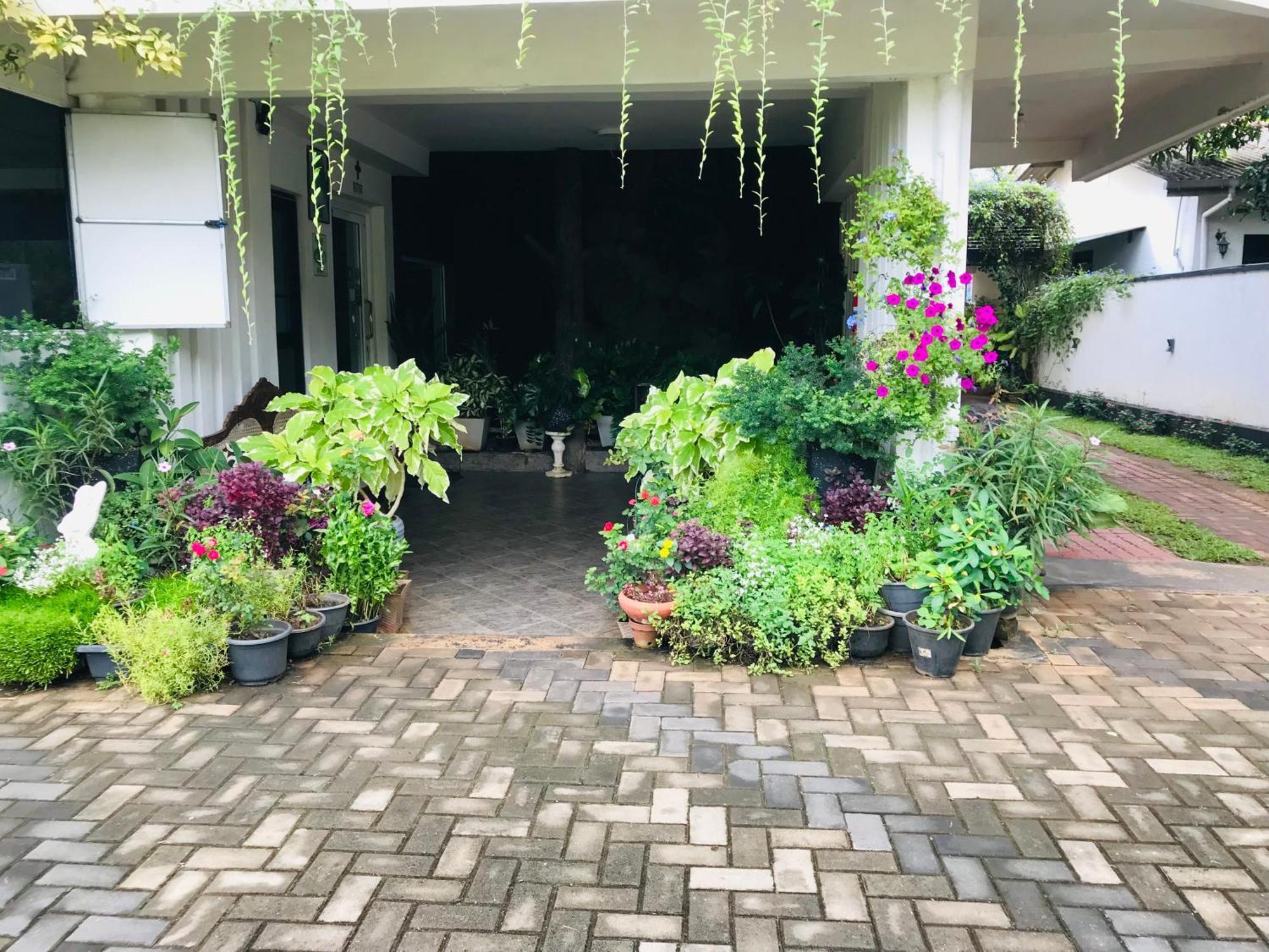 Pinidiya Resort Anuradhapura Buitenkant foto